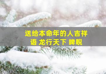 送给本命年的人吉祥语 龙行天下 睥睨